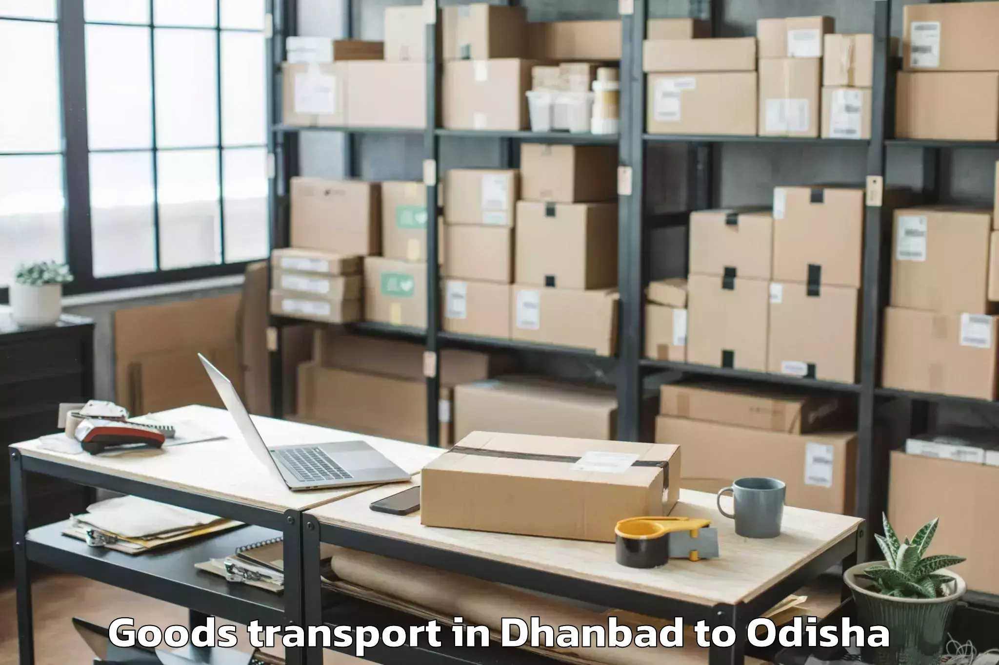 Quality Dhanbad to Umarkot Goods Transport